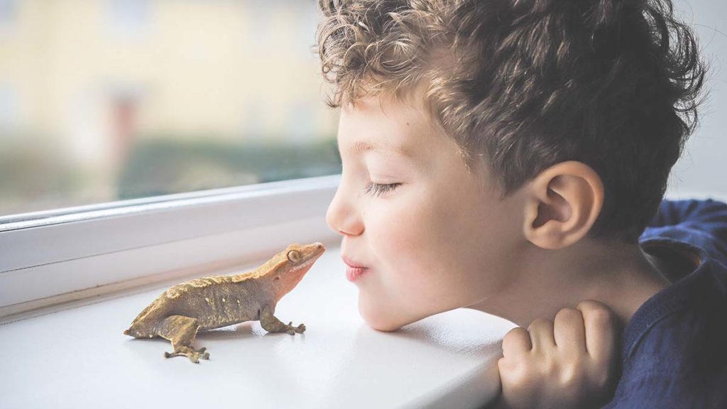 boy playing with pet lizard